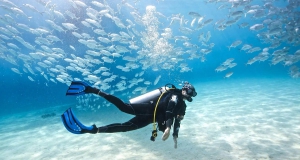 Scuba Diving – The Best Kind of Therapy
